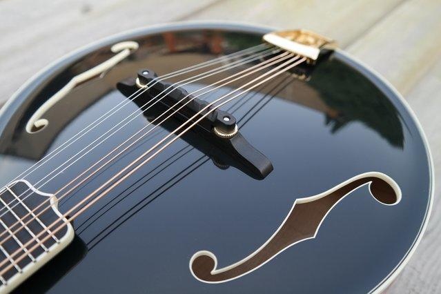 Mandolína A5 - 2