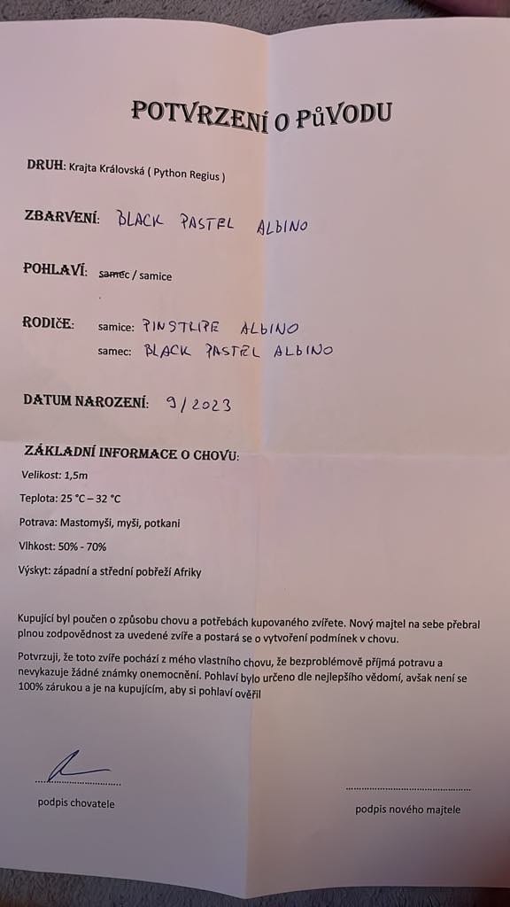 Krajta královská - 2