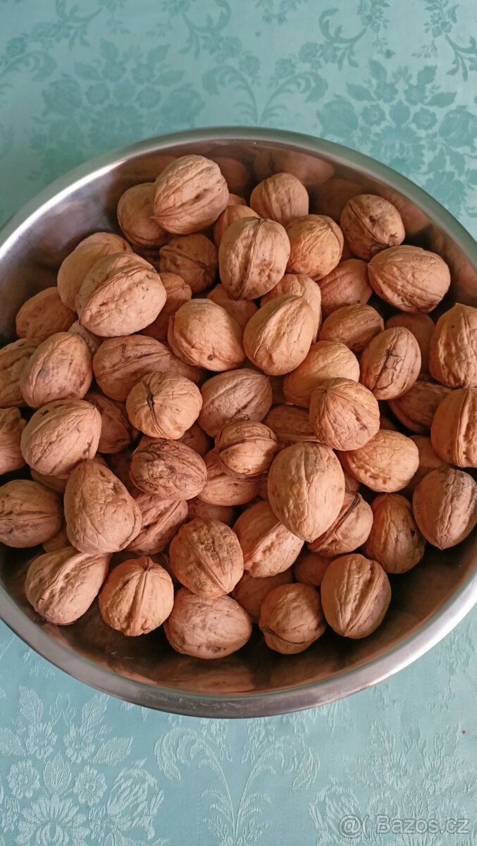 Vlašské ořechy - 2