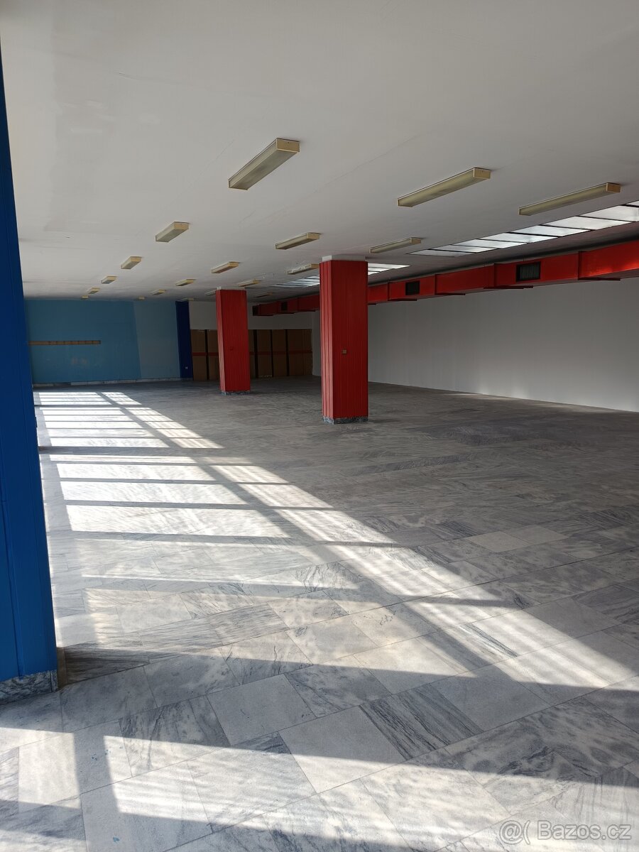 Pronájem komerčních prostor - 2