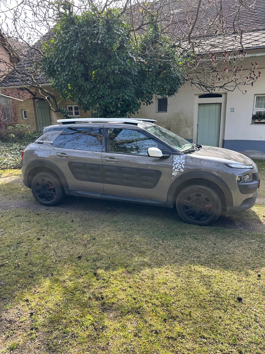Citroën C4 Cactus Rip Curl 1.6 BlueHDi - 2