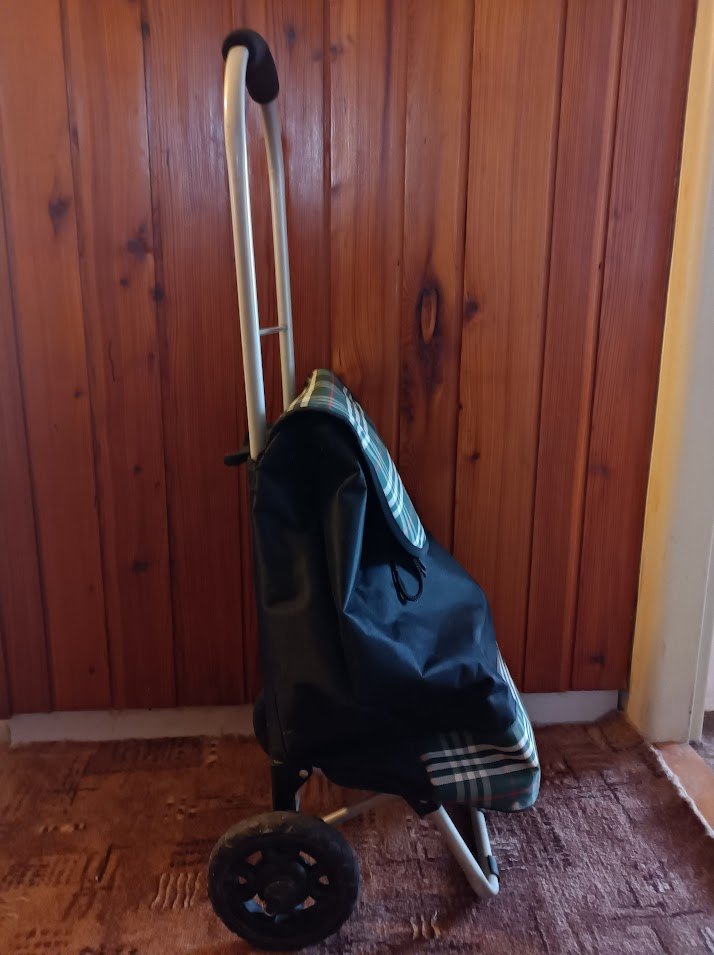 Nákupní taška na kolečkách - 2