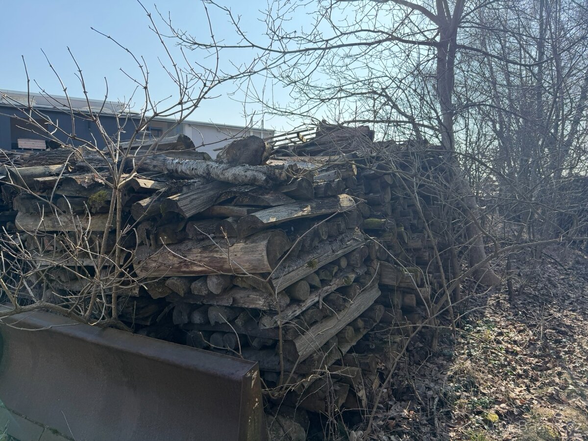 Dubové a modřínové odřezky rovnané - 2