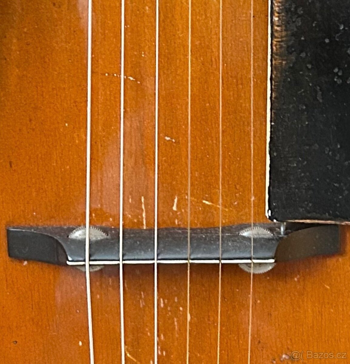 Koupím kobylku na archtop - 2