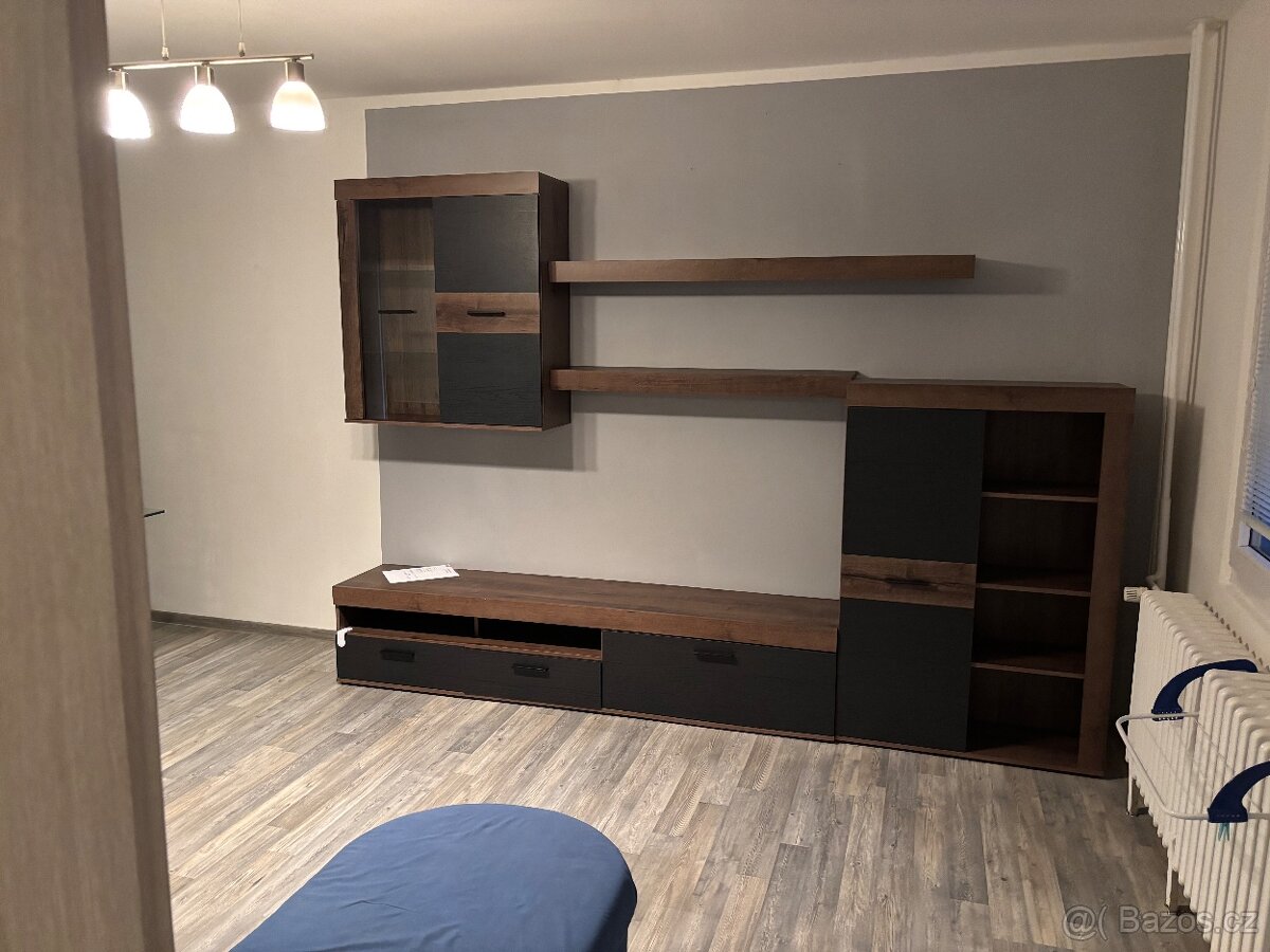 Pronájem bytu 3+1 - 2