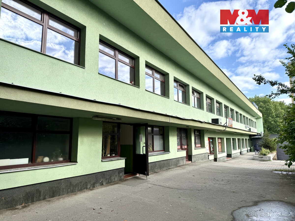 Pronájem obchod a služby, 110 m², Ostrava, ul. Rušná - 2