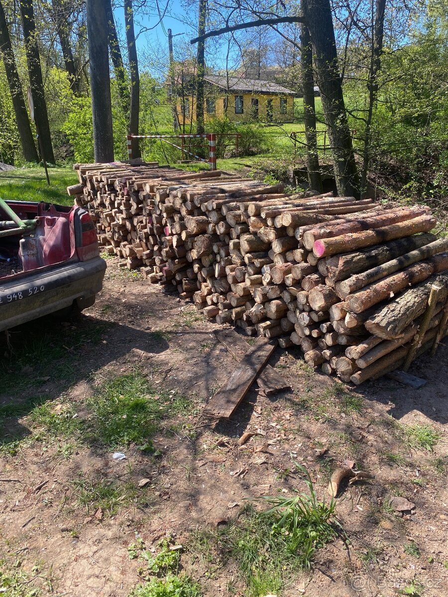 Palivové dřevo - 2
