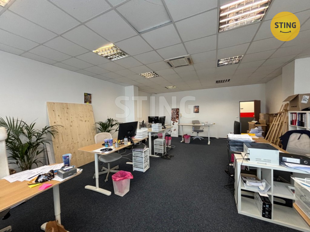 Pronájem komerčního prostoru 54m2 - Sviadnov, 133944 - 2