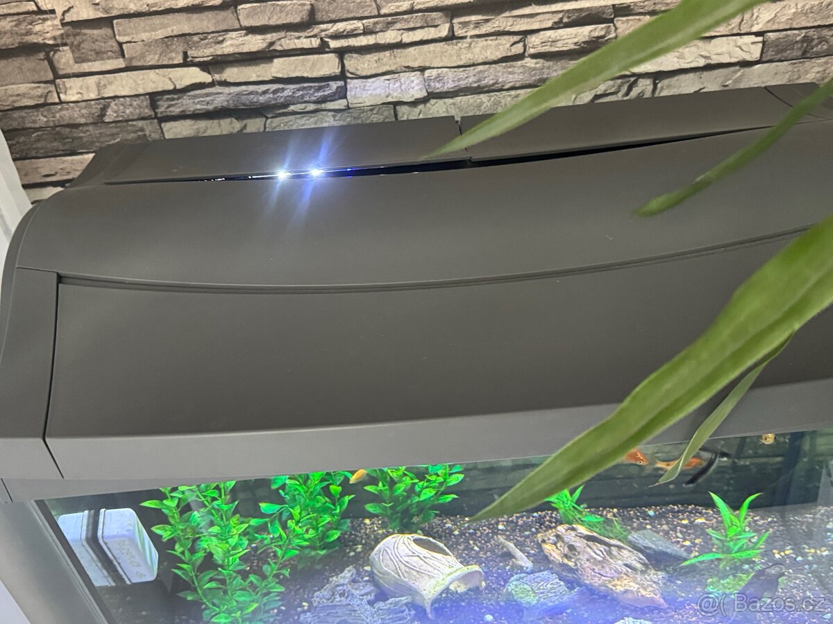 Akvárium Tetra 60l - 2