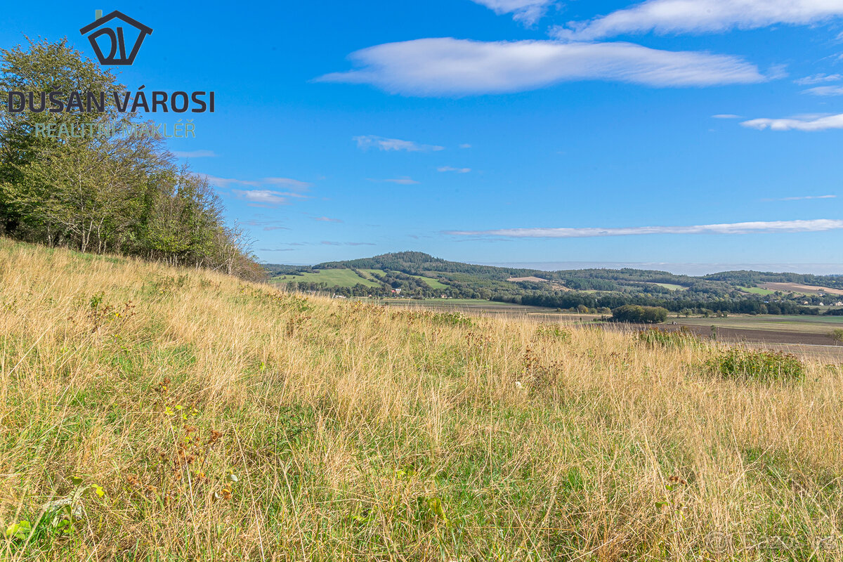 Louka o rozloze 5 743m2 v KÚ Města Albrechtice - 2