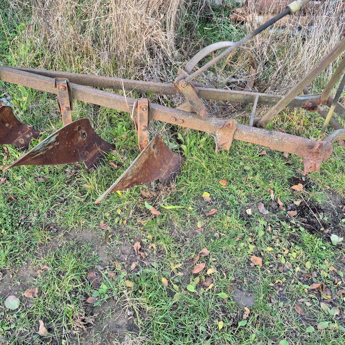 Pluh tříradličný - 2