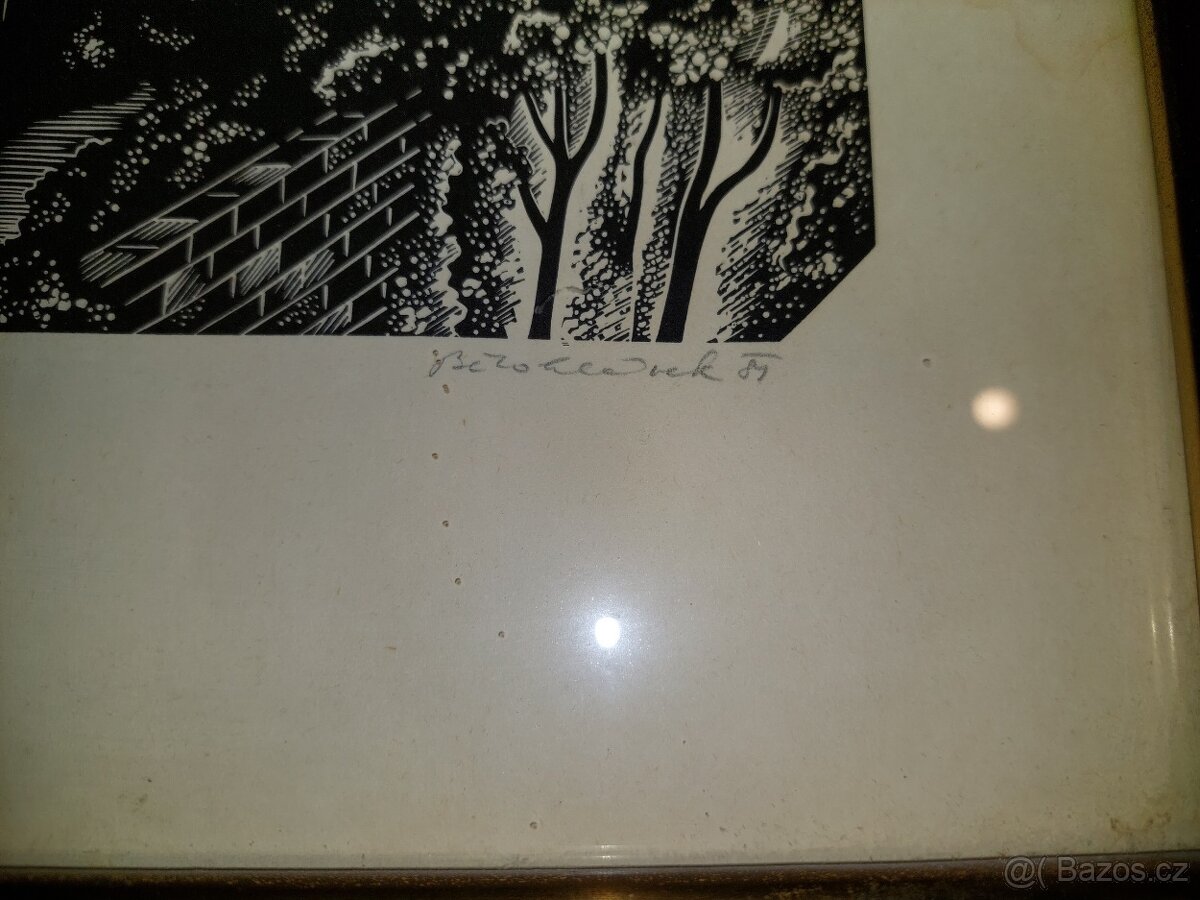 Prodám obraz - linoryt. - 2