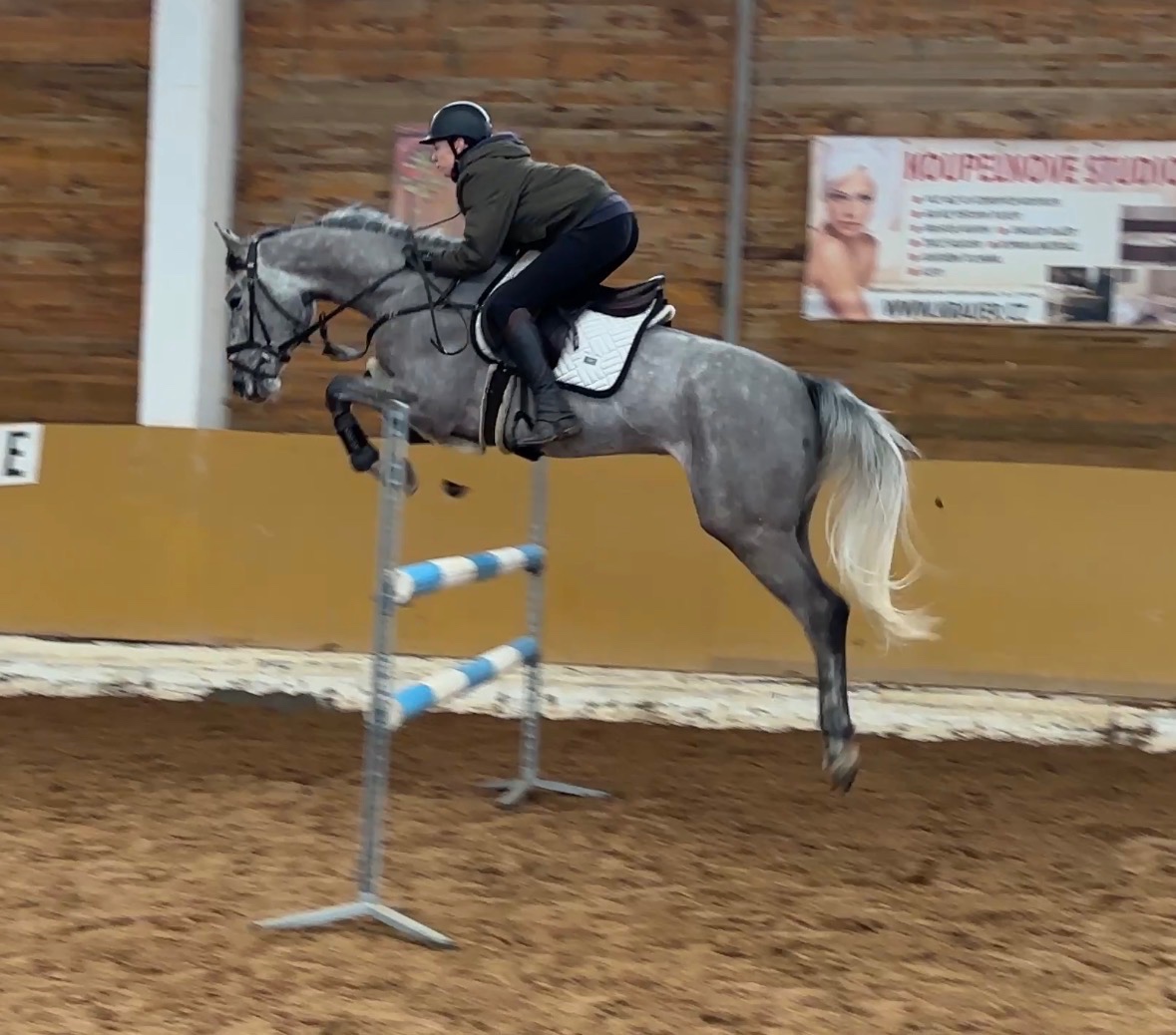 Prodej / výměna - 2