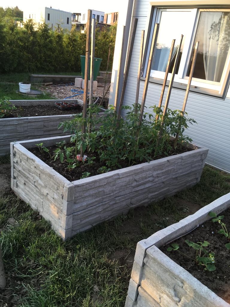 Vyvýšený betonový záhon - 2