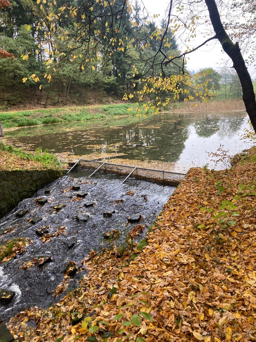 Pronájem pozemku v Semici u písku - 2
