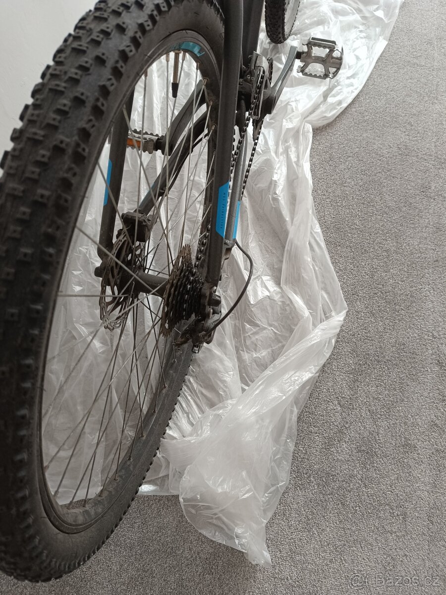 Kellys spider 70 - 2