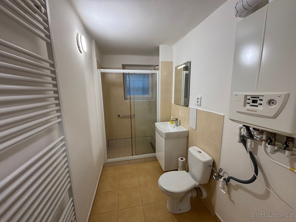 Pronájem bytu po rekonstrukci - 2