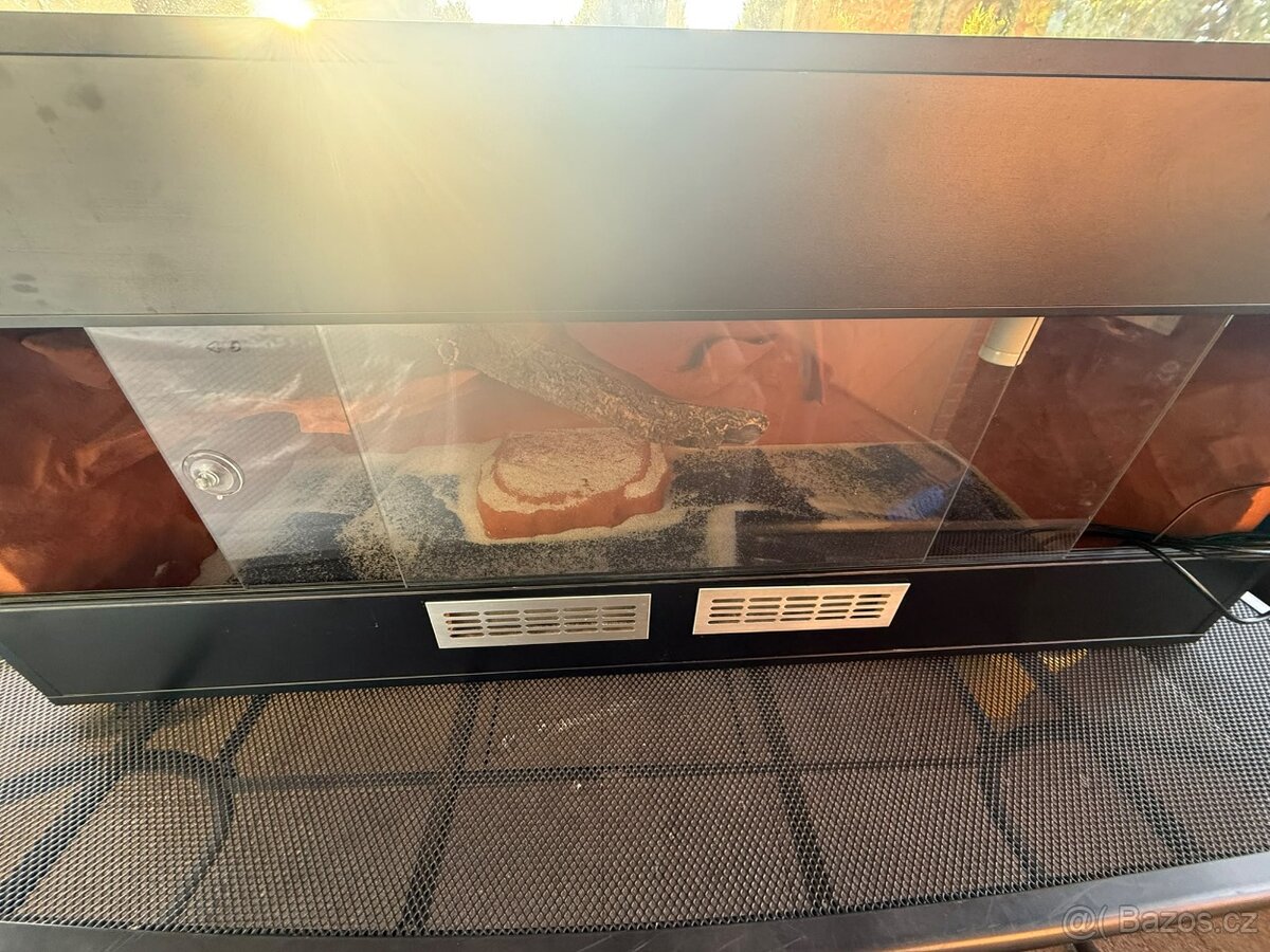 Terarium 150x60x60 - 2