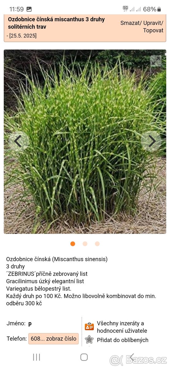 Miscantus 3 druhy - 2