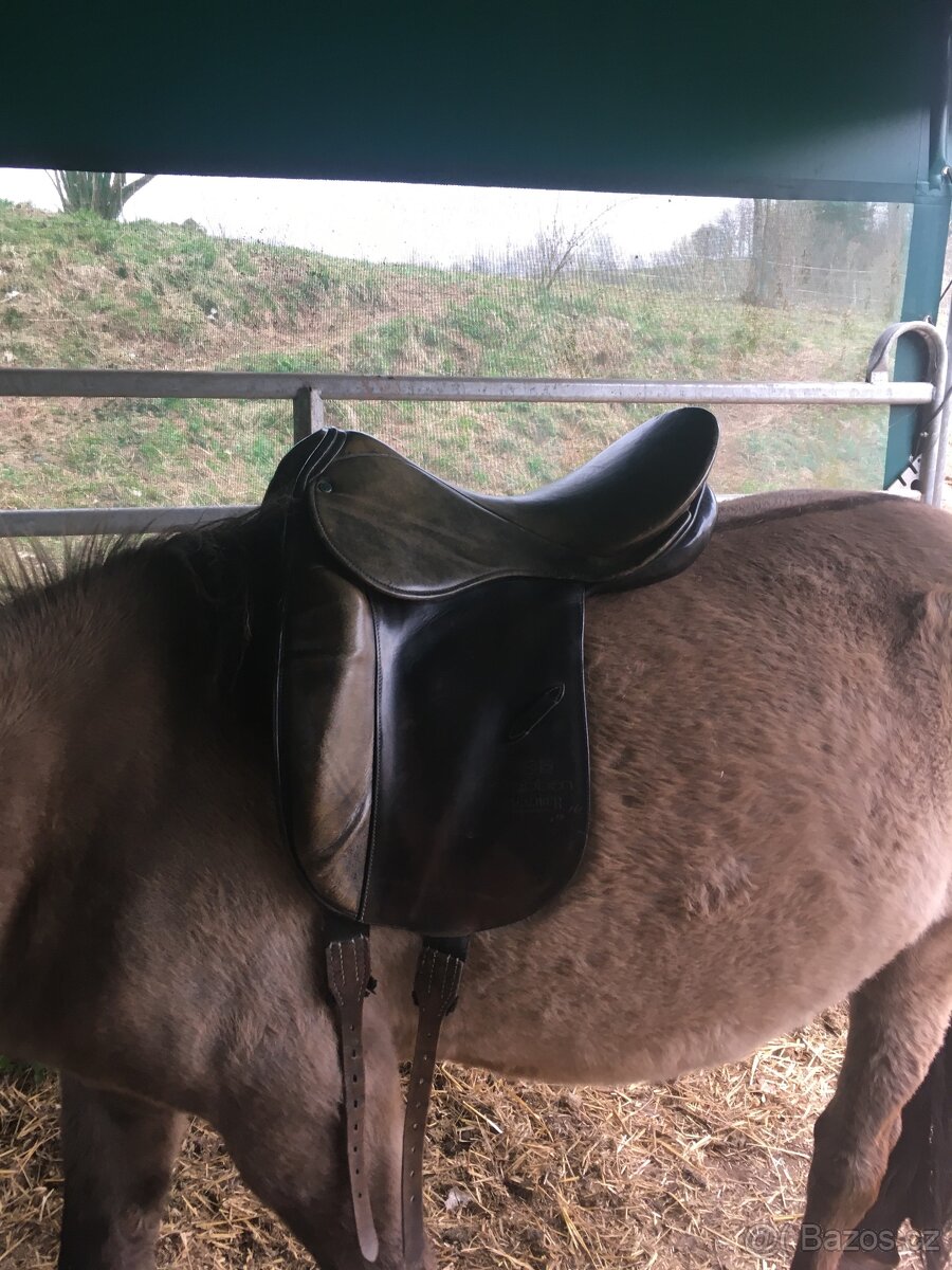 Drezurní sedlo - 2