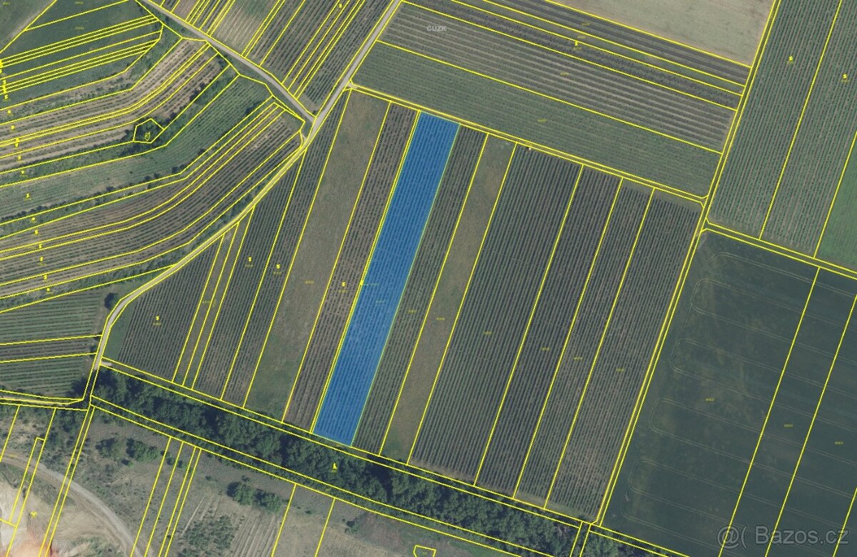 1ha vinice v atraktivní vinařské oblasti – Novosedly - 2