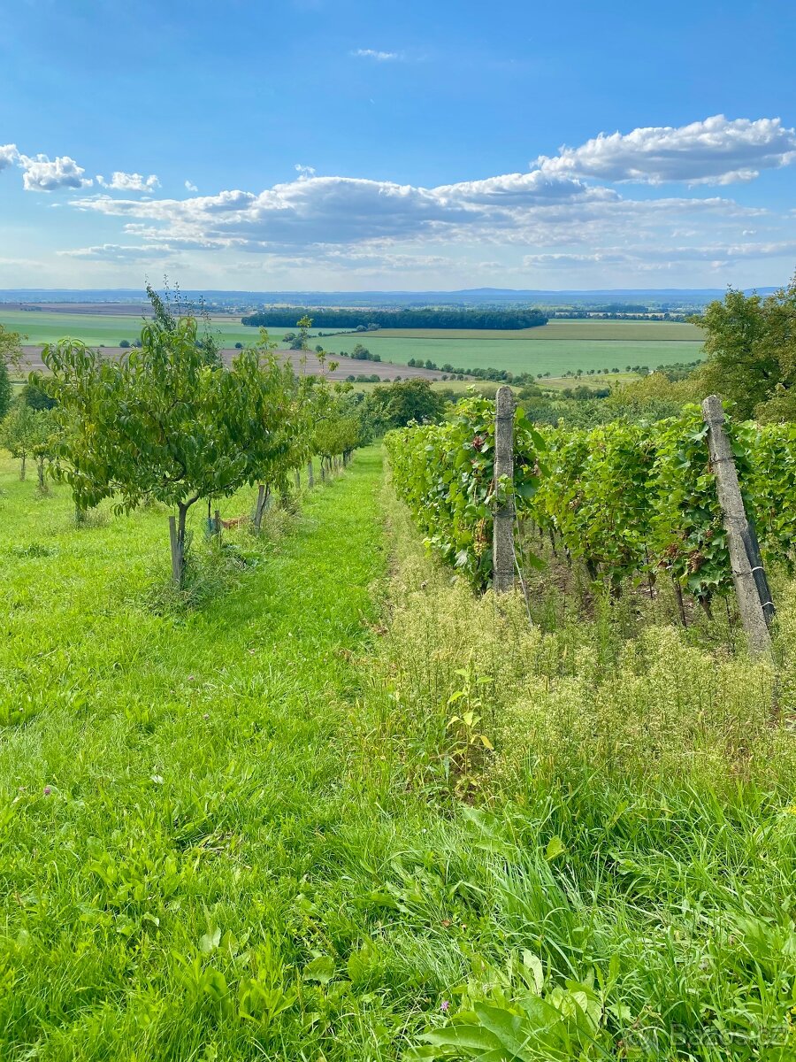 Pozemek s krásným výhledem a chatkou - 2
