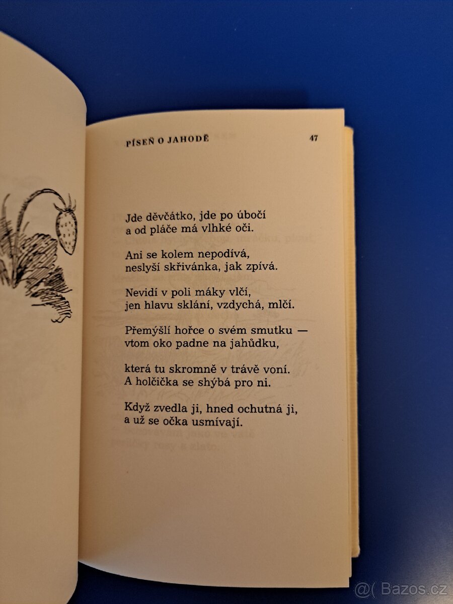 Kniha ŠEL MALÍŘ CHUDĚ DO SVĚTA - 2