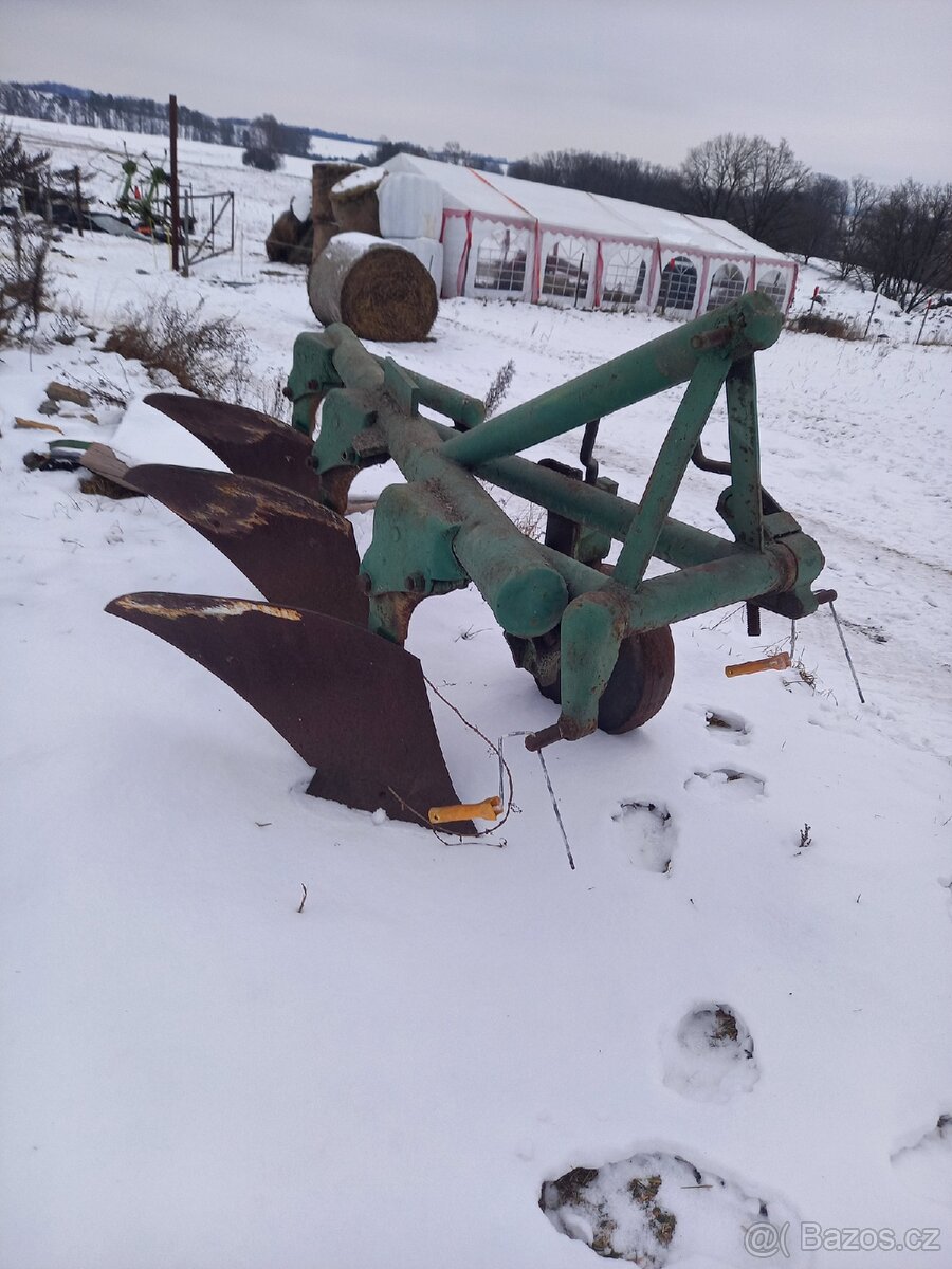 Pluh tříradličný - 2