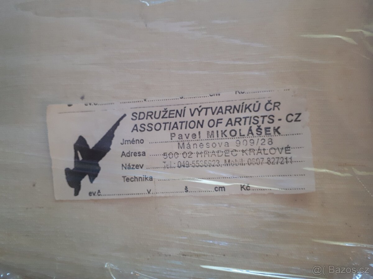 Obraz růže - Pavel Mikolášek - 2