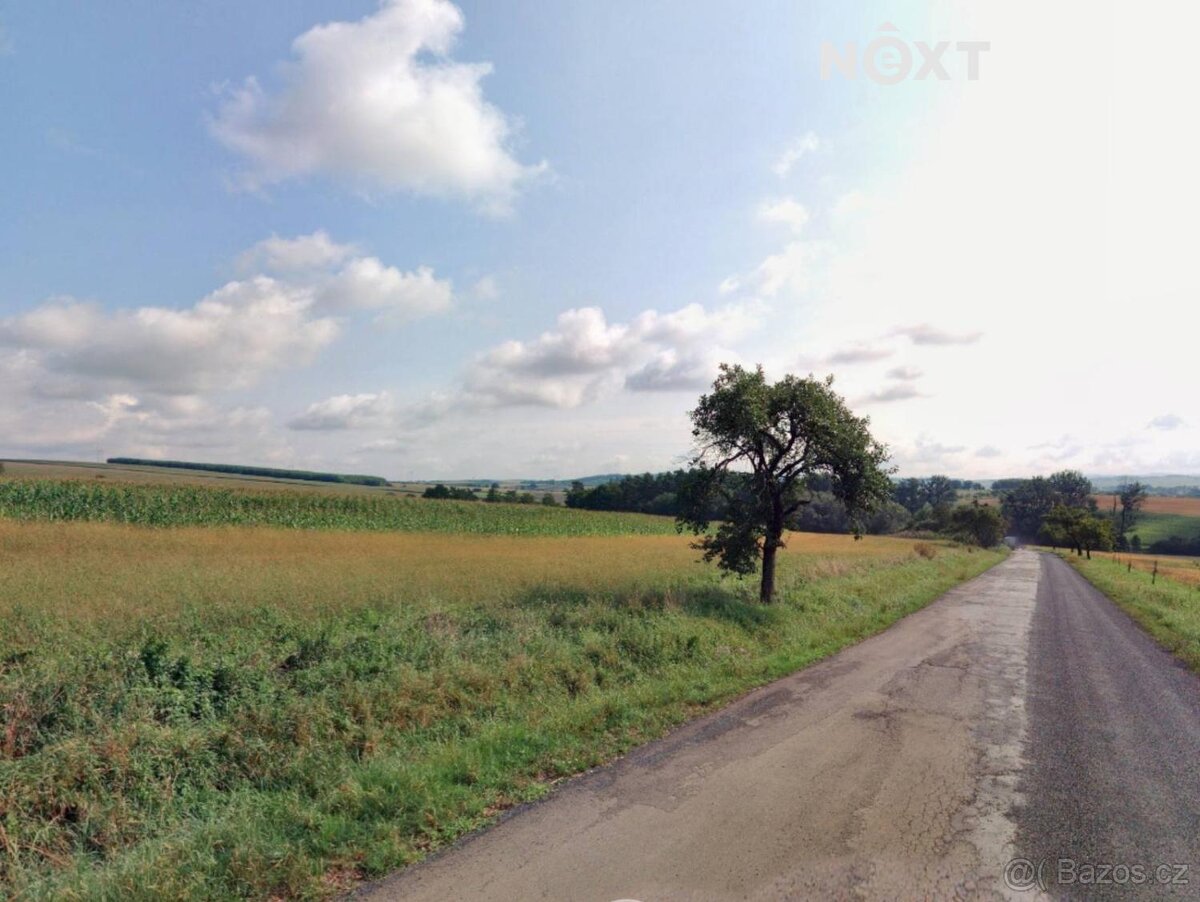 Prodej pozemek Pole, 6004㎡ - 2