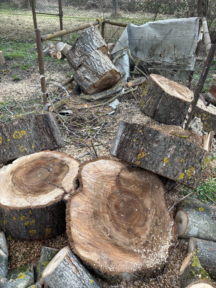 Kuláče z kmenu ořechu - 2