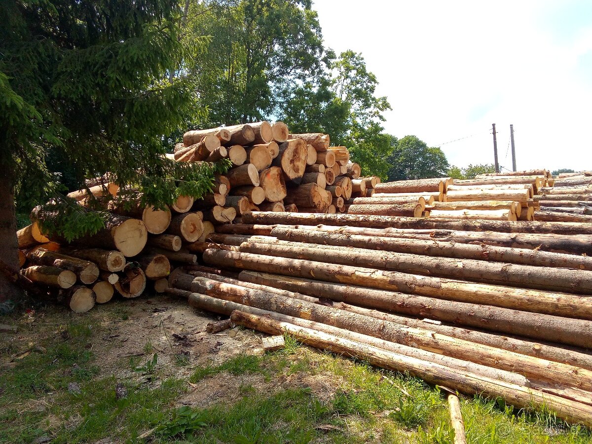 Dřevo měkké, tvrdé - 2