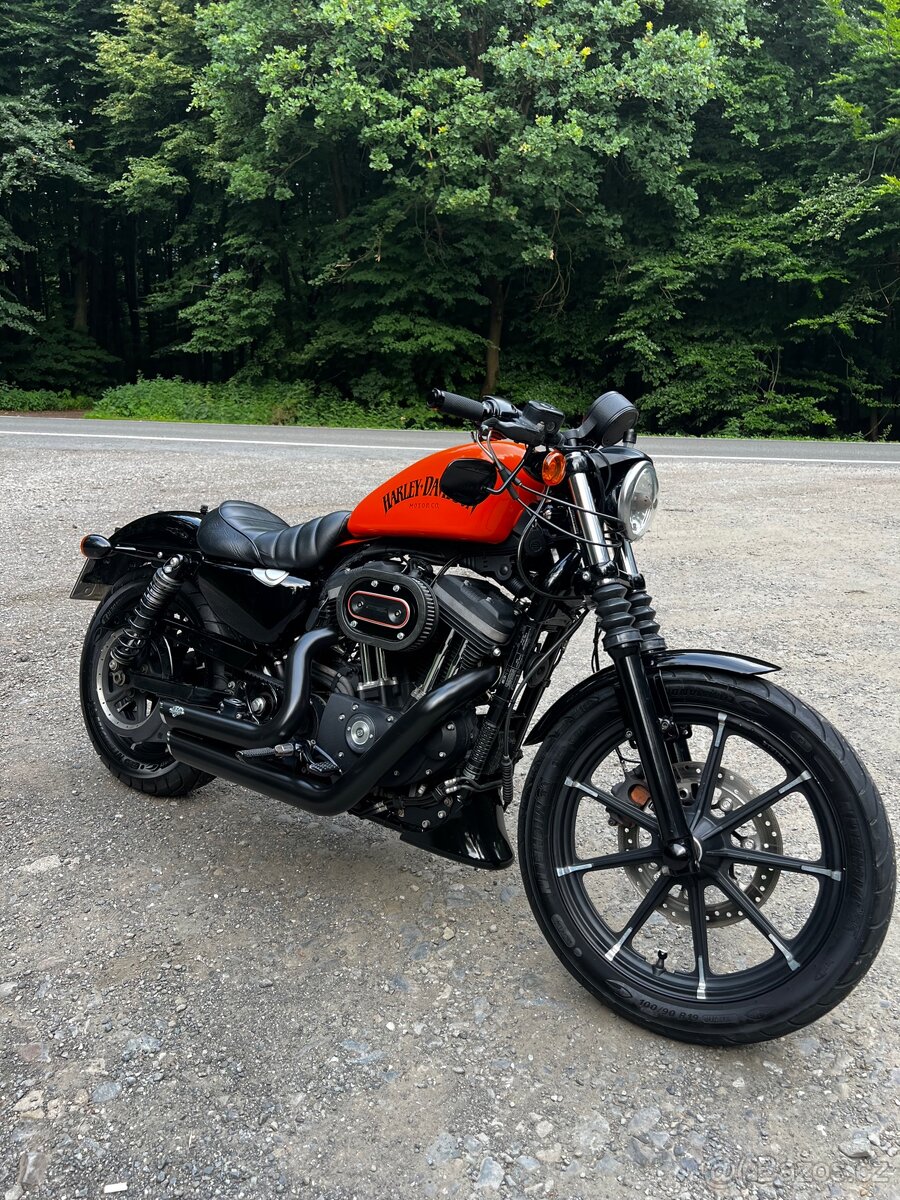 Harley - Davidson Iron 883 - 2