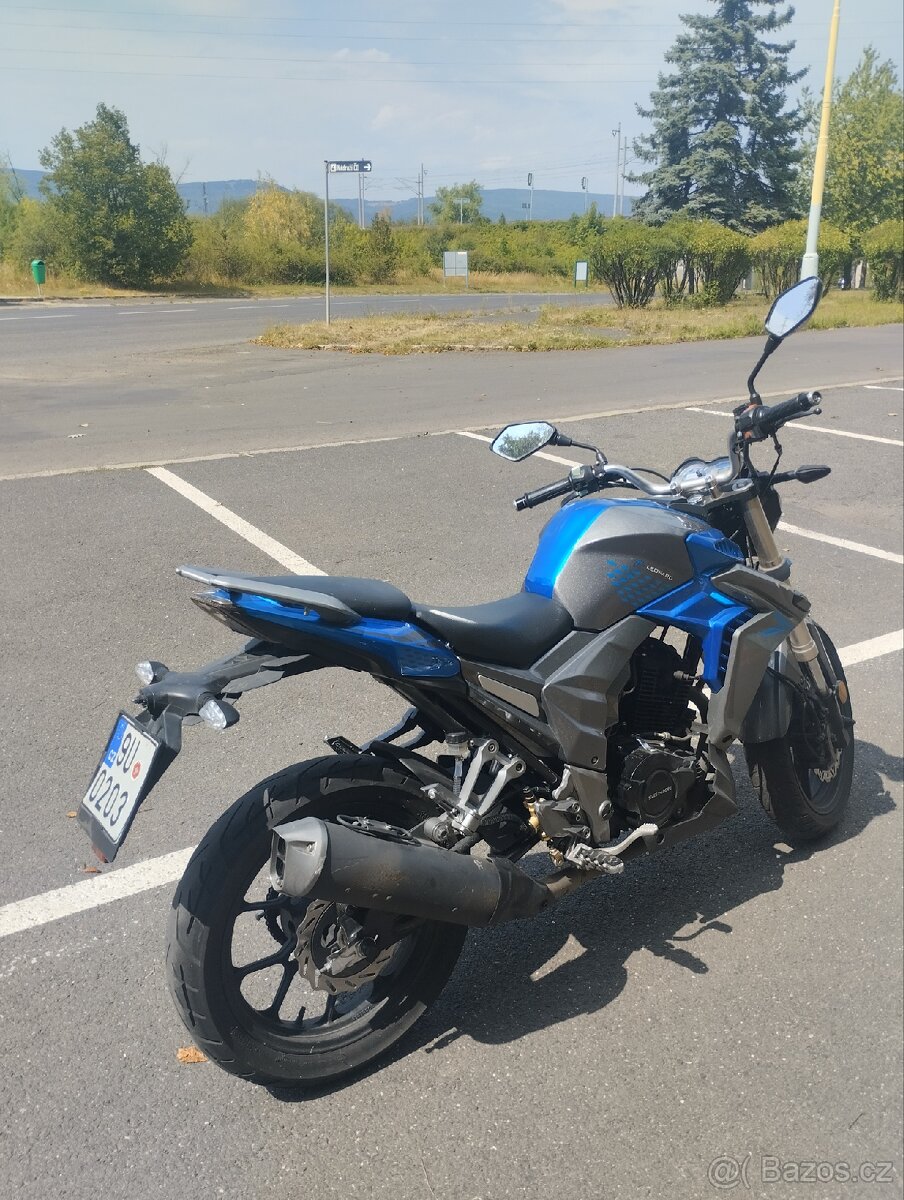 Senke leopard SK125 - 2