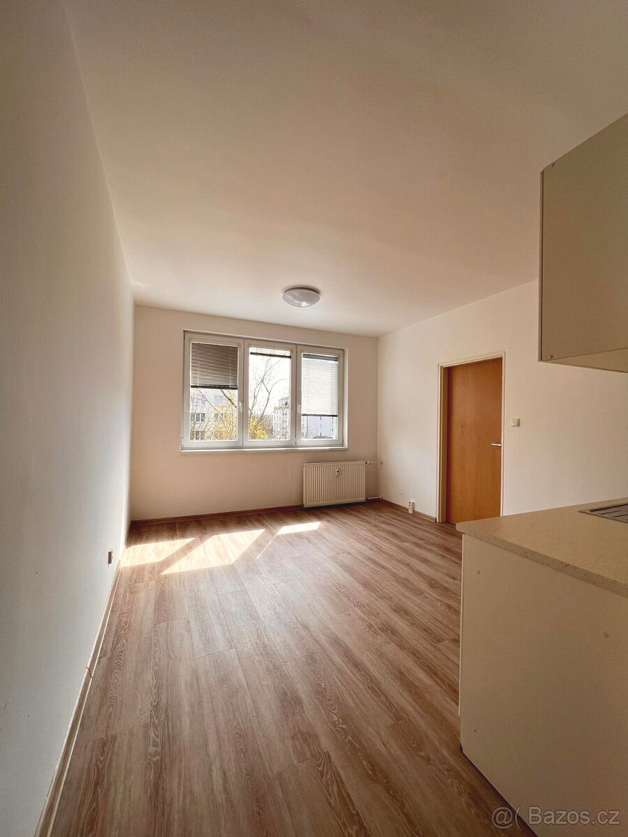 Pronájem bytu 1+1 37m2 v ulici Větrná - 2