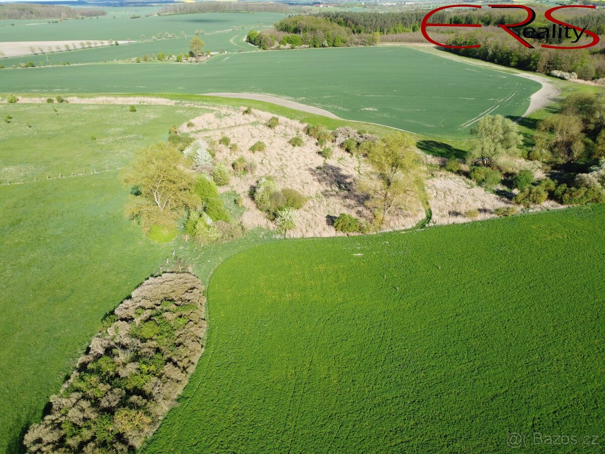 Investiční pozemky - Městec Králové , 28 150 m², ev.č. 00552 - 2