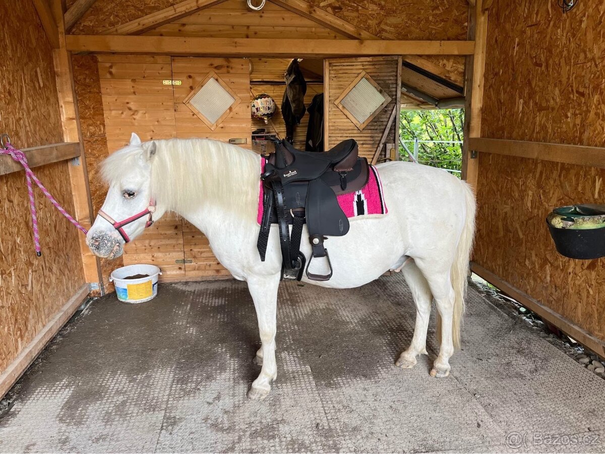 Barefoot Arizona Barry bezkostrové sedlo na pony - 2