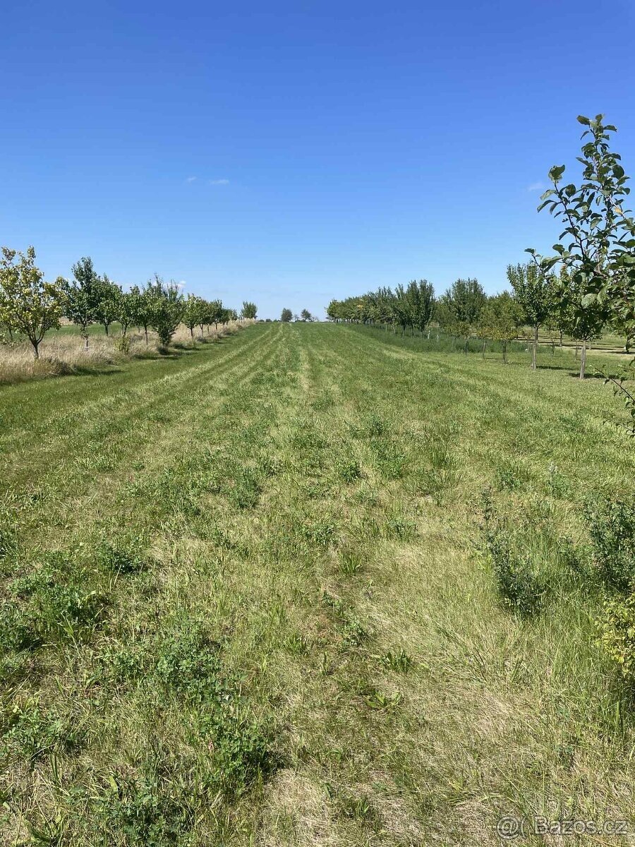 Prodám zatravněnou ornou půdu 2200m² - 2