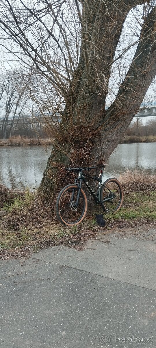 Scott Scale 950 2025 - 2