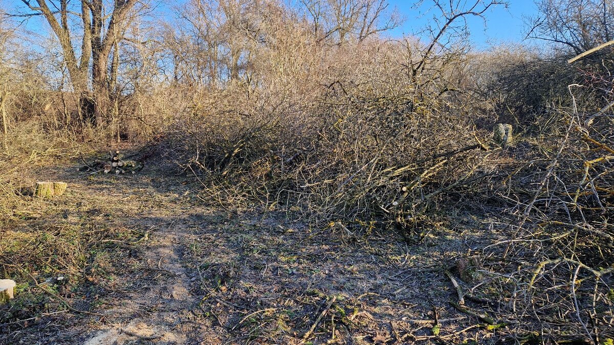 Větve k štěpkování zdarma - 2