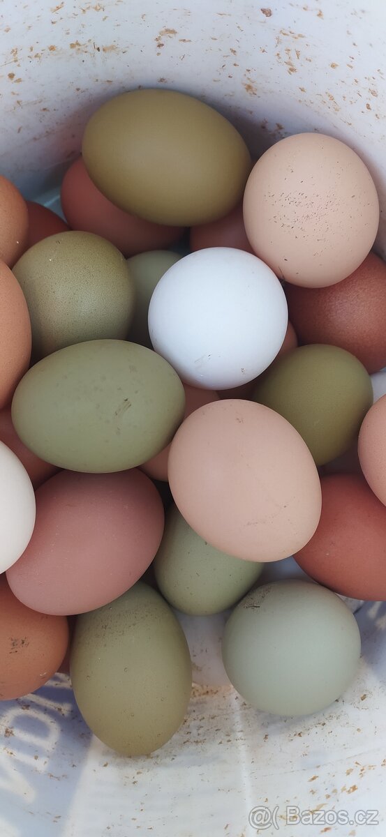 Nasadova vejce - 2