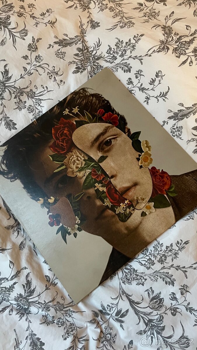 Gramofonová deska Shawn Mendes - 2