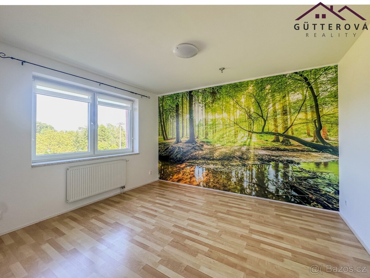 Pronájem bytu 3+1, 63 m² - Janovice nad Úhlavou - 2