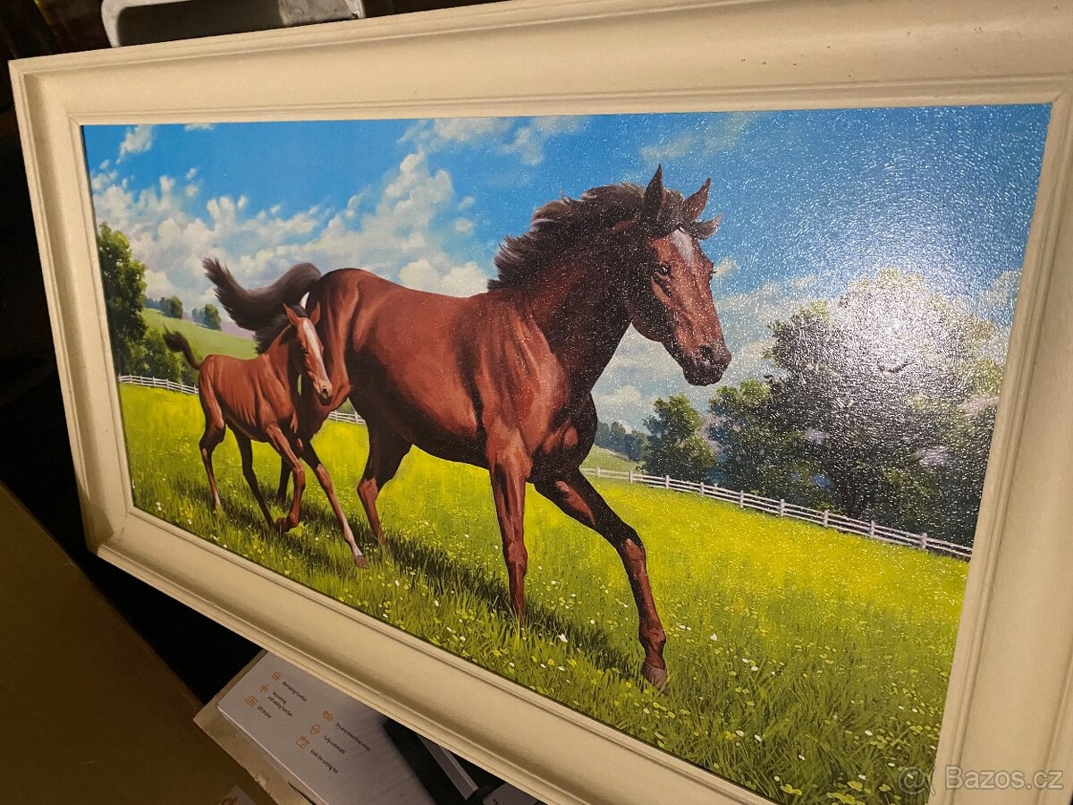 Obraz koně kůň - 2