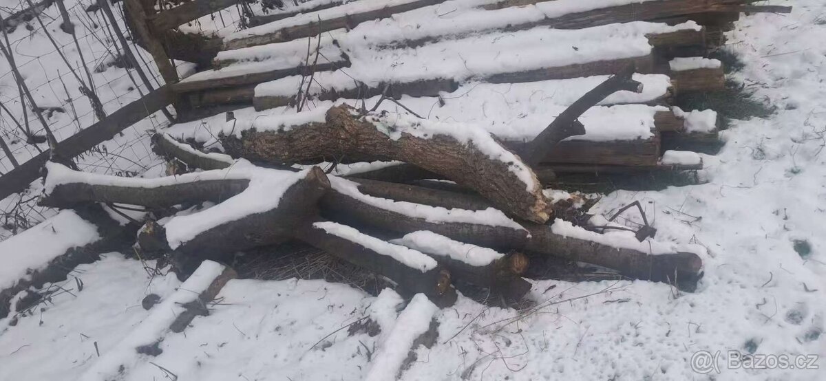 Palivové dřevo - 2