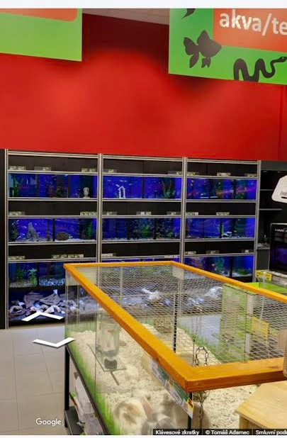 Prodej akvarijní stěny - 2