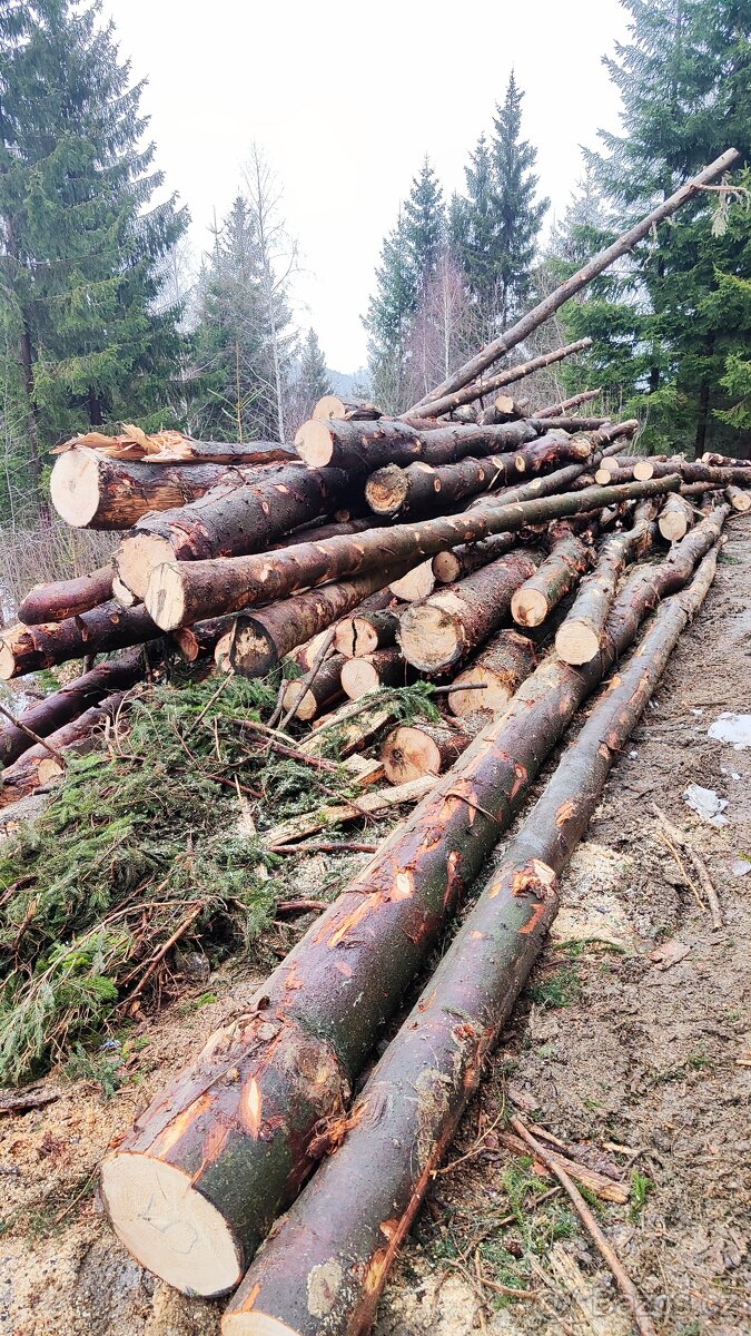 Prodám palivové dřevo - 2