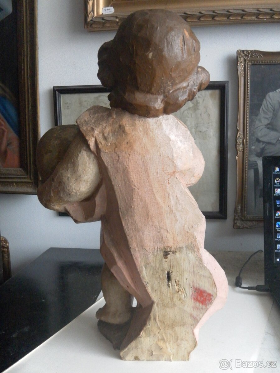 Amorek světlonoš. - 2