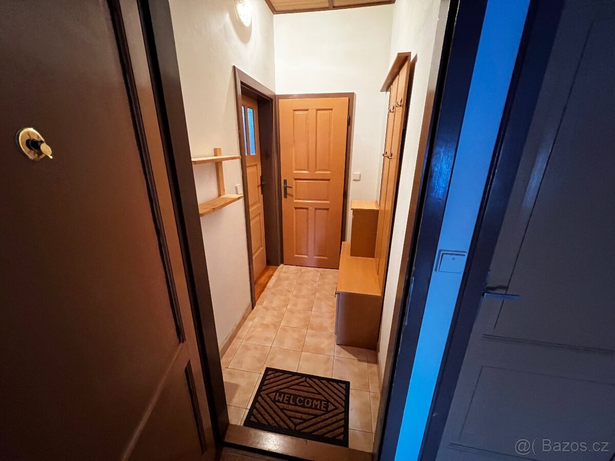 Pronájem bytu 1+1 50 m² - 2