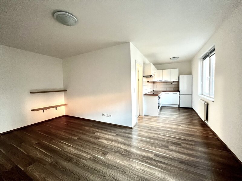 Pronájem novostavby 1kk s vlastním parkováním v přímém centr - 2